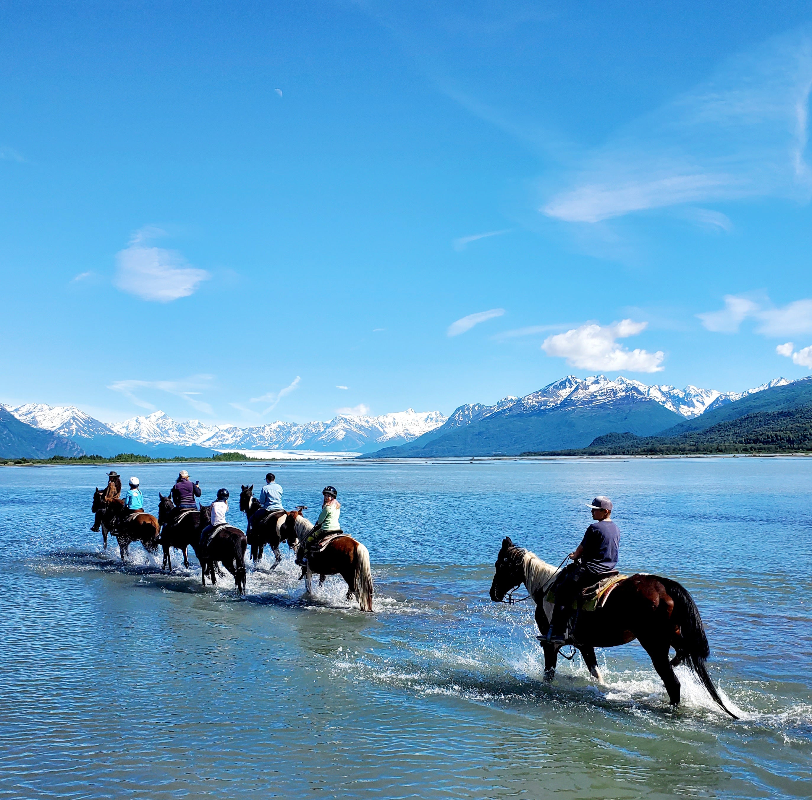 Saddle Up for Adventure: Exploring Knik's Hidden Gem with AK Horse Adventures!