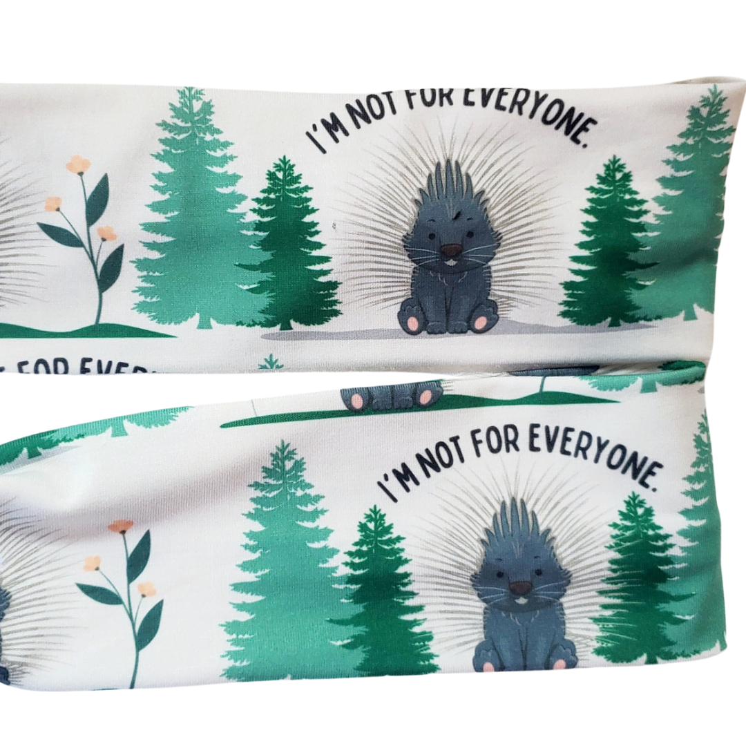 Porcupine Headband