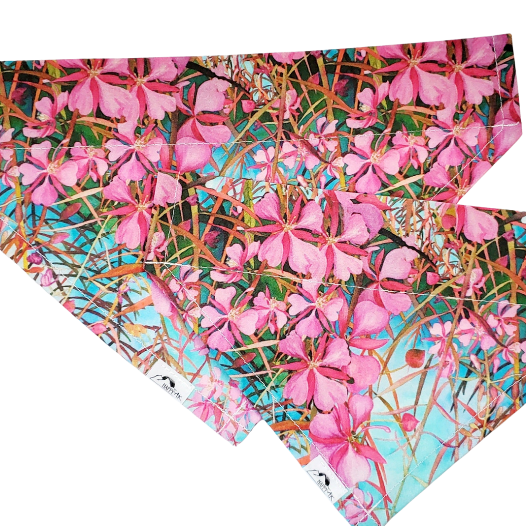 Fireweed Pet Bandana
