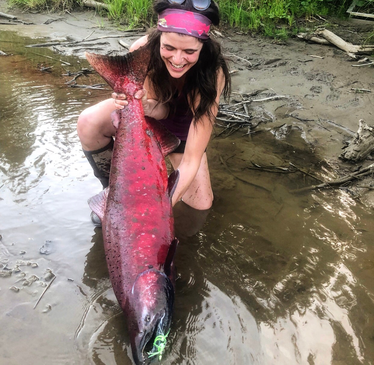 Sockeye Salmon Headbands