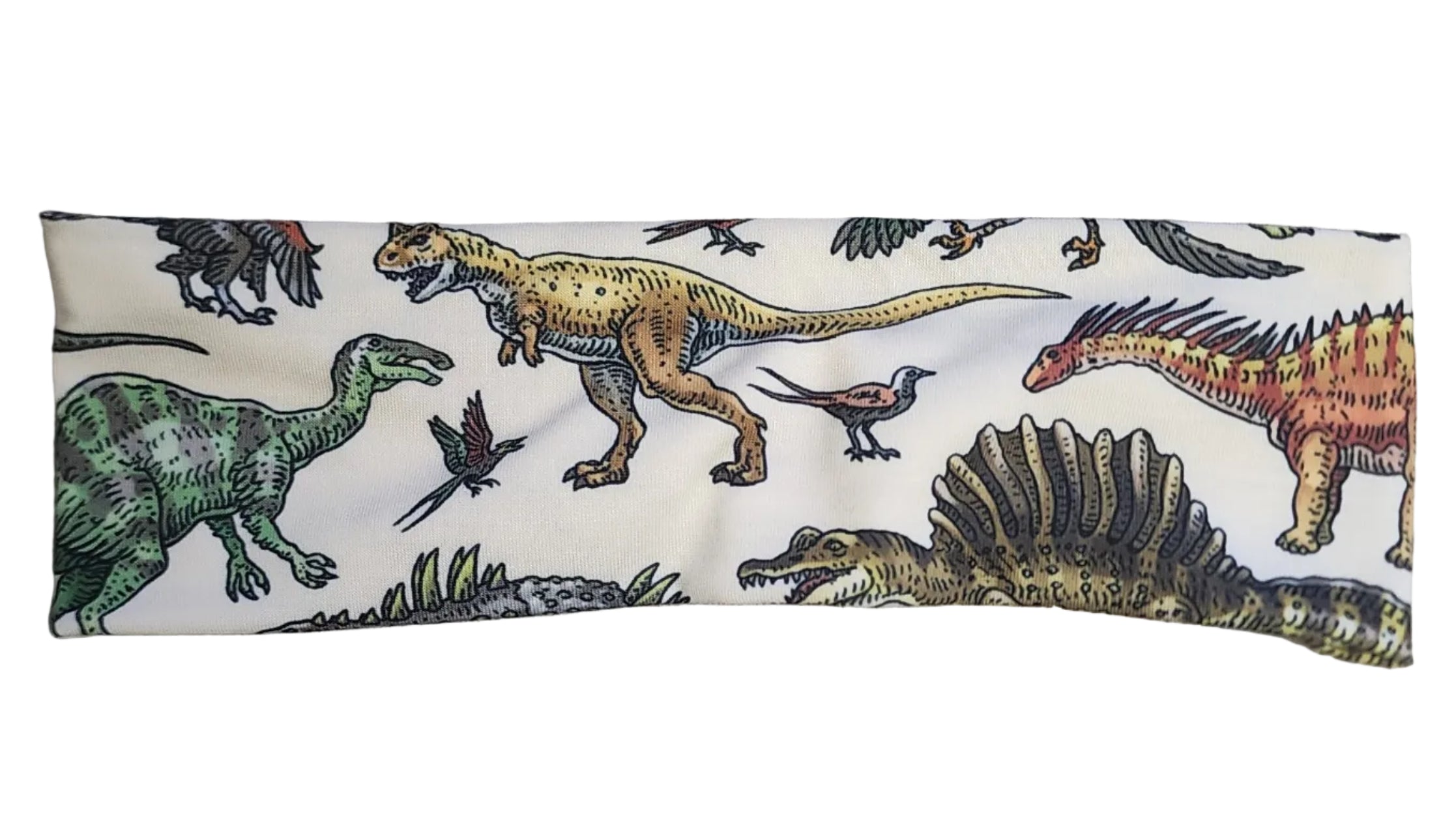 "Dinosaurs" headband