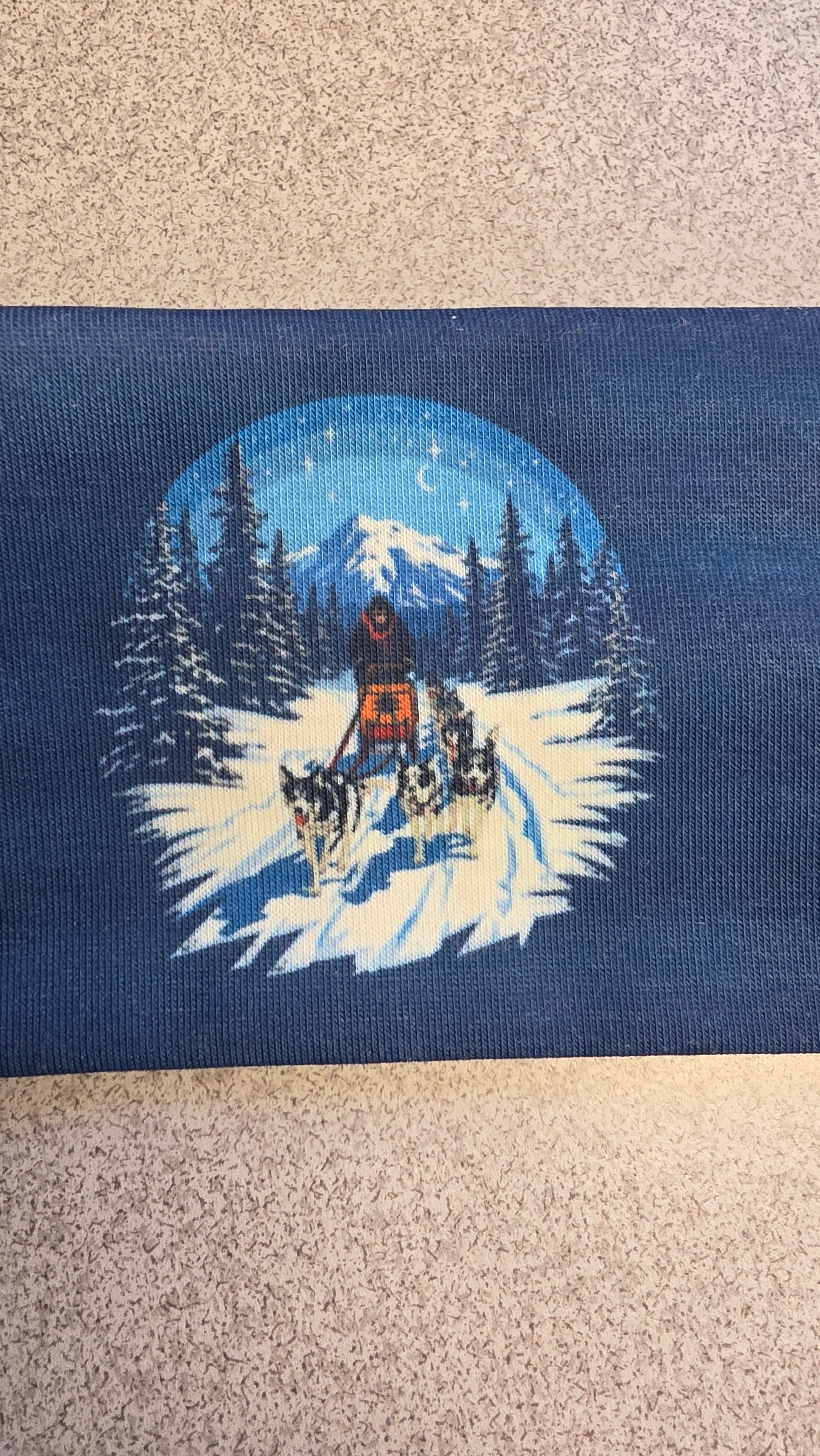 "Sled Dogs Through the Lens" headband
