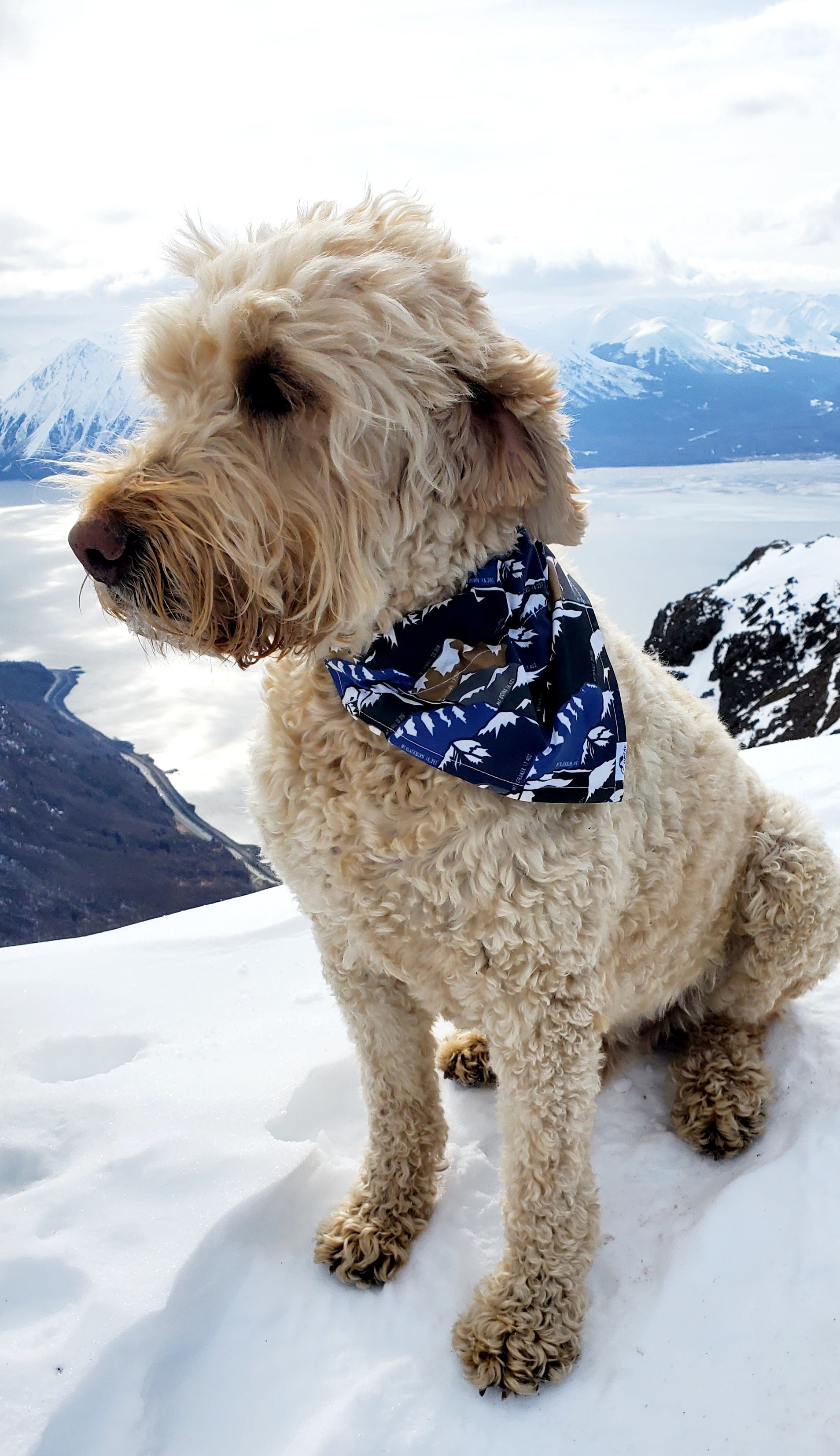 Tallest Peaks Dog | Cat Bandana